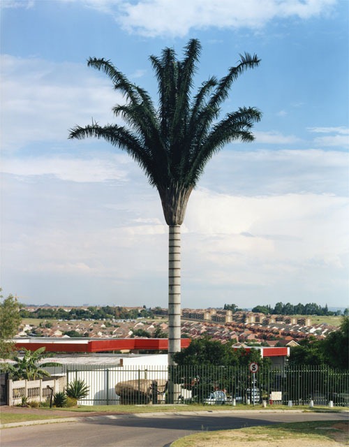 Camouflaged Cell Phone Towers Amusing